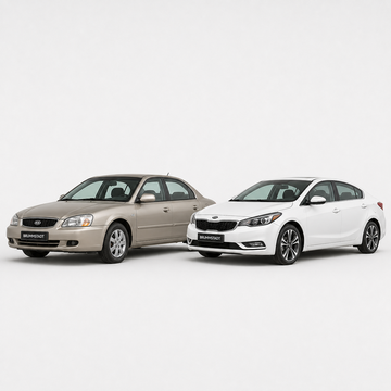 Cerato